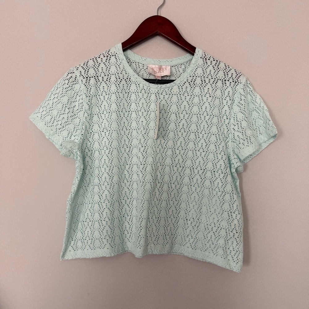 Francesca's Collections Mint Lace Top size XL
